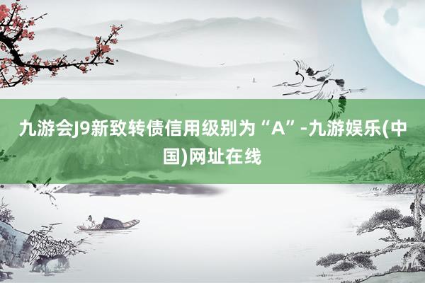 九游会J9新致转债信用级别为“A”-九游娱乐(中国)网址在线