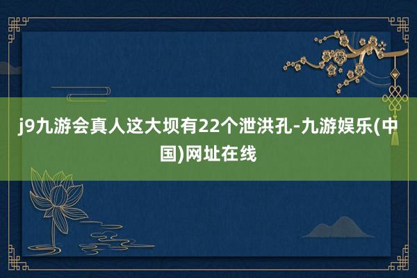 j9九游会真人这大坝有22个泄洪孔-九游娱乐(中国)网址在线