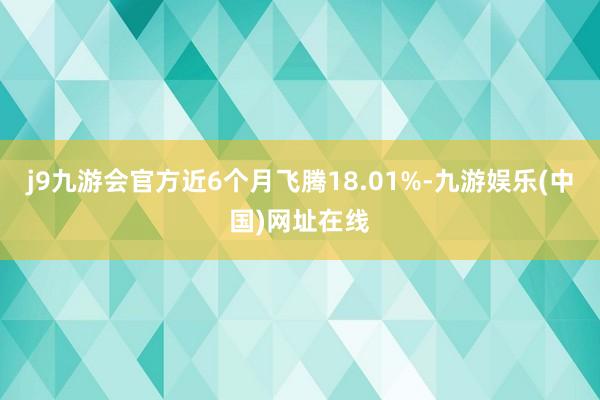 j9九游会官方近6个月飞腾18.01%-九游娱乐(中国)网址在线