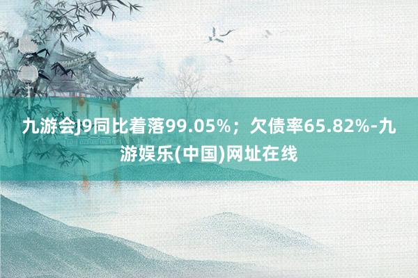 九游会J9同比着落99.05%；欠债率65.82%-九游娱乐(中国)网址在线