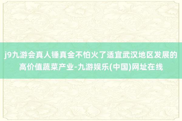 j9九游会真人锤真金不怕火了适宜武汉地区发展的高价值蔬菜产业-九游娱乐(中国)网址在线