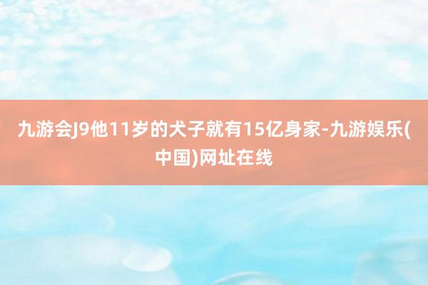 九游会J9他11岁的犬子就有15亿身家-九游娱乐(中国)网址在线