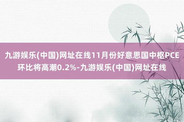 九游娱乐(中国)网址在线11月份好意思国中枢PCE环比将高潮0.2%-九游娱乐(中国)网址在线