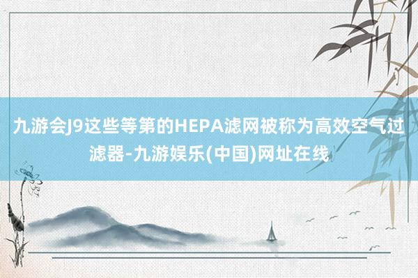 九游会J9这些等第的HEPA滤网被称为高效空气过滤器-九游娱乐(中国)网址在线